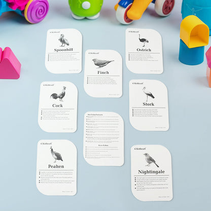 KidKraft Early Learner Educational Flashcards – 32 Birds